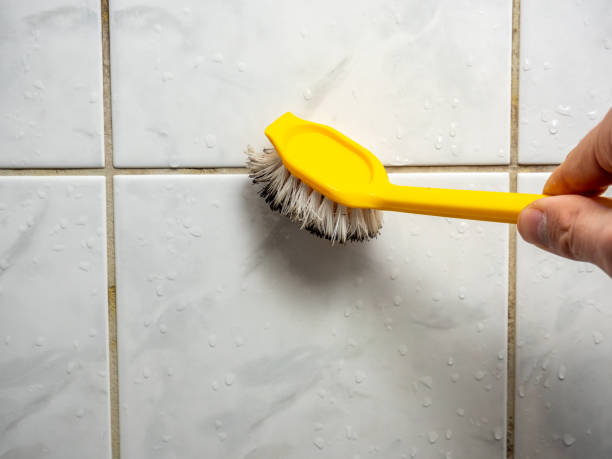 Best Mold Remediation for Schools in Fayetteville, NC